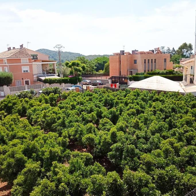Piso Sierra Calderona A 15 Minutos Del Mar Estivella Apartment Екстериор снимка